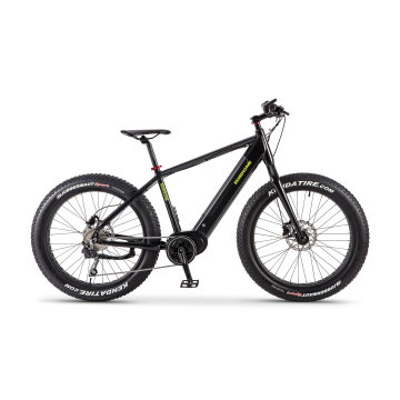 MID Drive Bafang 48V 350W Motor Fat Tire Электрический велосипед